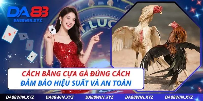 Cách Băng Cựa Gà