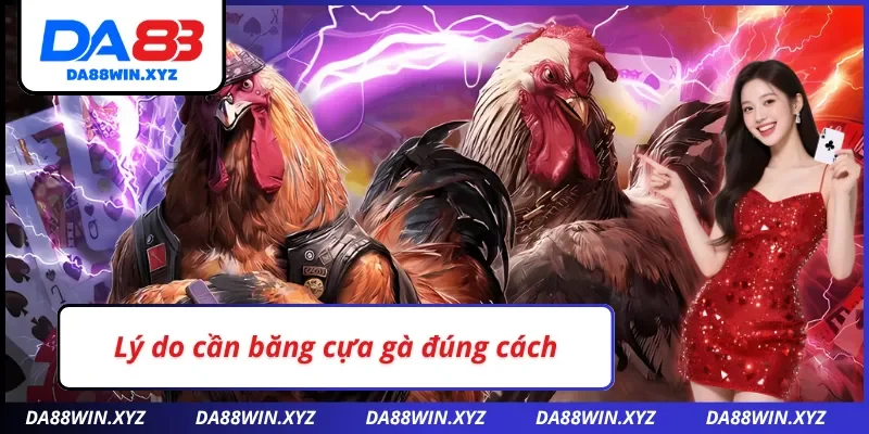 Lý do cần thực hiện cách băng cựa gà đúng cách