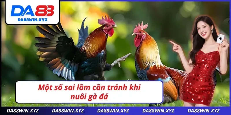 Một số sai lầm khi nuôi gà