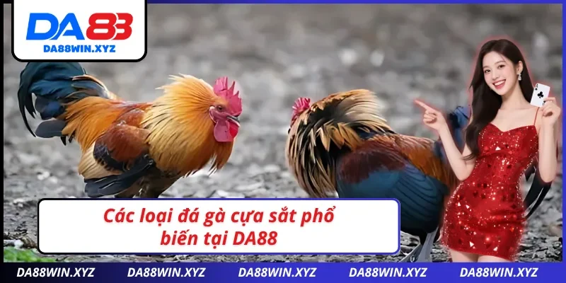 Các loại đá gà cựa sắt DA88 đặc sắc