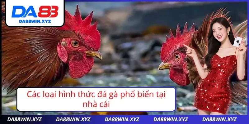 Tìm hiểu ngay các thể loại đá gà nổi bật tại Da88