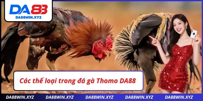 Các loại đá gà Thomo DA88 đang có