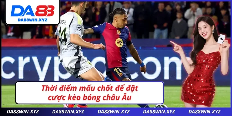                      Bí quyết giúp bạn nâng cao tỷ lệ thắng khi chơi kèo châu 