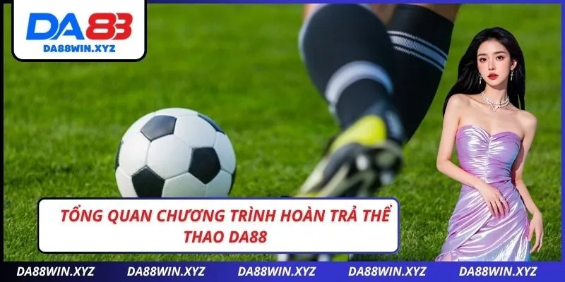 Tổng Quan Chương Trình Hoàn Trả Thể Thao DA88
